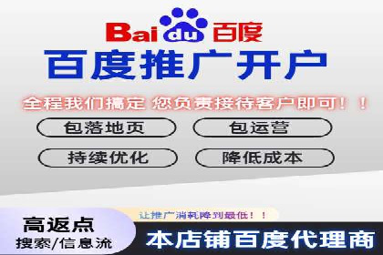 SEM代运营公司案例分析报告
